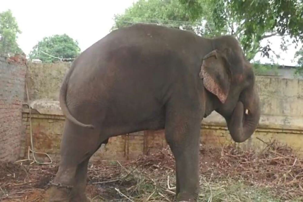 प्रतीकात्मक तस्वीर (साभार)